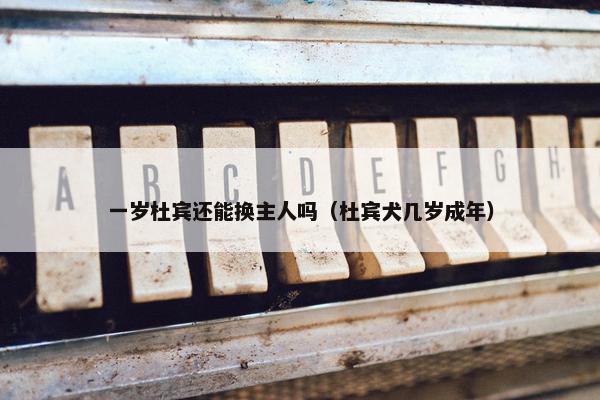 一岁杜宾还能换主人吗（杜宾犬几岁成年）