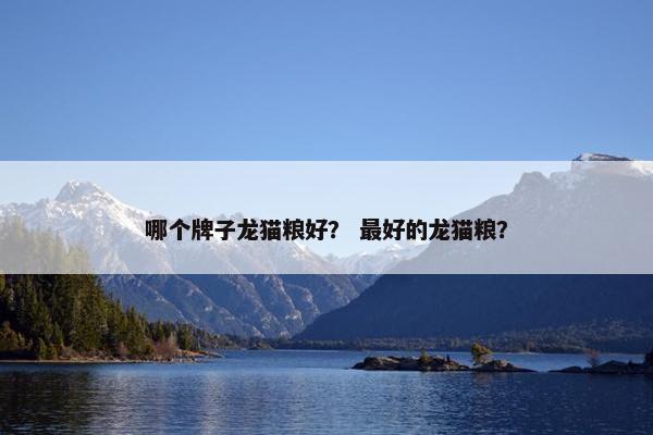 哪个牌子龙猫粮好？ 最好的龙猫粮？