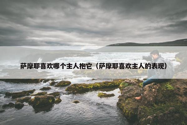 萨摩耶喜欢哪个主人抱它（萨摩耶喜欢主人的表现）