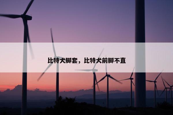 比特犬脚套，比特犬前脚不直