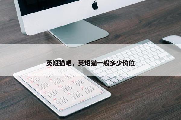 英短猫吧，英短猫一般多少价位