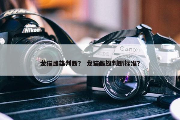龙猫雌雄判断？ 龙猫雌雄判断标准？