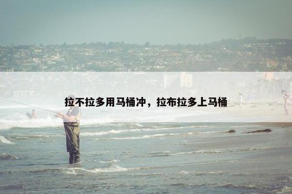 拉不拉多用马桶冲，拉布拉多上马桶