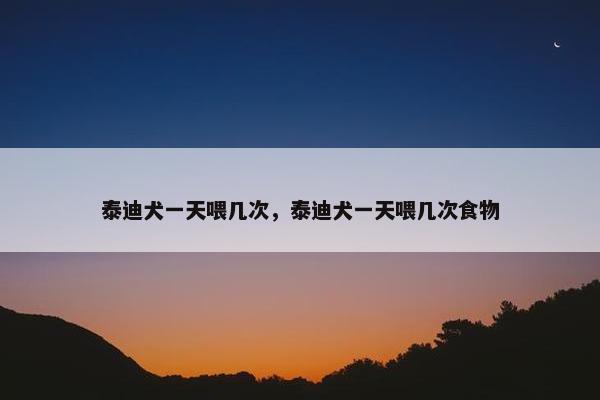 泰迪犬一天喂几次，泰迪犬一天喂几次食物