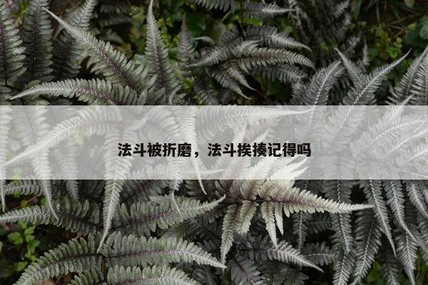 法斗被折磨，法斗挨揍记得吗