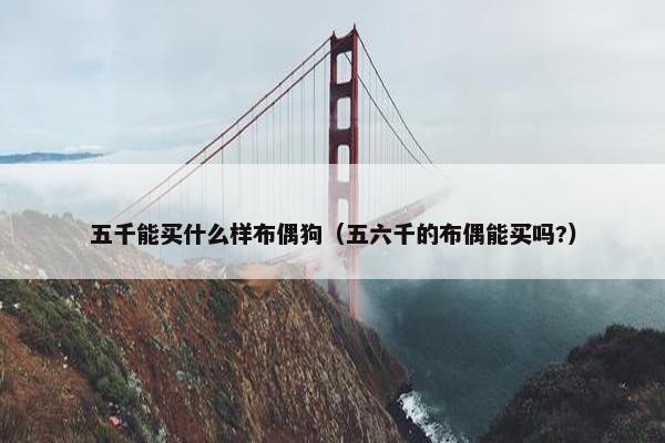 五千能买什么样布偶狗（五六千的布偶能买吗?）