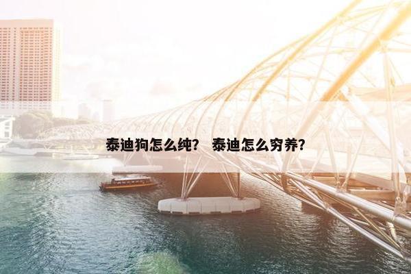 泰迪狗怎么纯？ 泰迪怎么穷养？