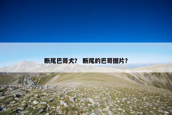 断尾巴哥犬？ 断尾的巴哥图片？
