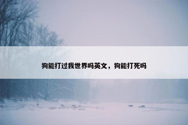 狗能打过我世界吗英文，狗能打死吗