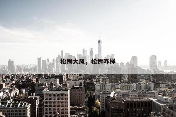 松狮大风，松狮咋样