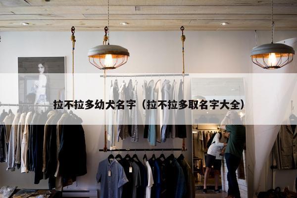 拉不拉多幼犬名字（拉不拉多取名字大全）