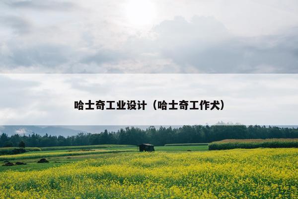 哈士奇工业设计（哈士奇工作犬）