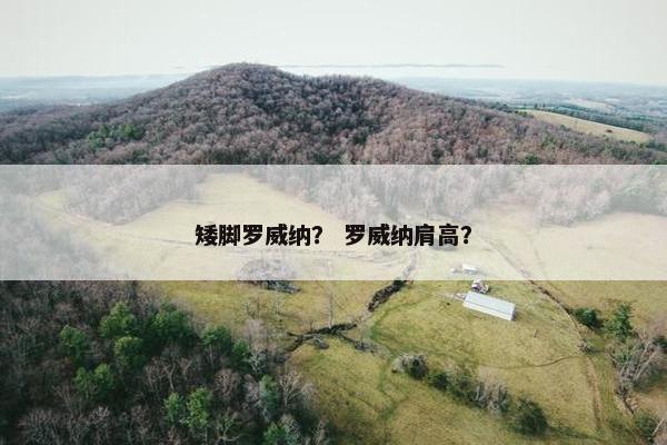 矮脚罗威纳？ 罗威纳肩高？