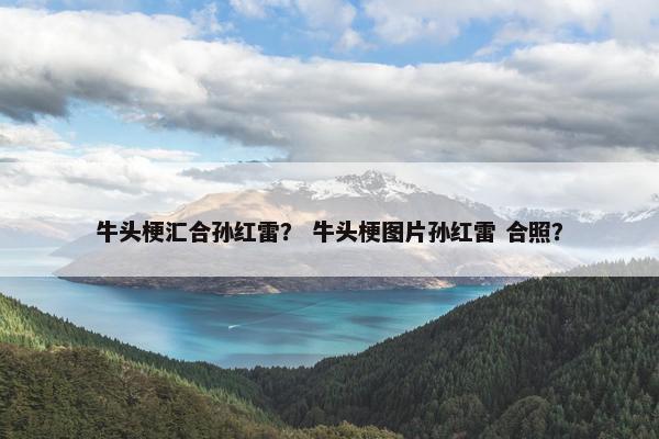 牛头梗汇合孙红雷？ 牛头梗图片孙红雷 合照？
