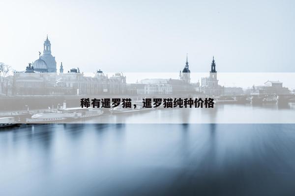 稀有暹罗猫，暹罗猫纯种价格