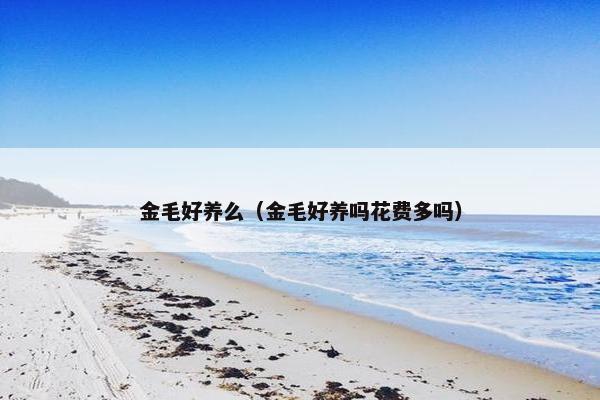 金毛好养么（金毛好养吗花费多吗）