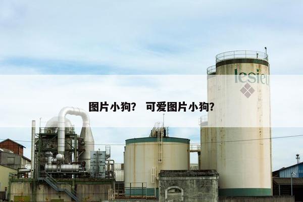 图片小狗？ 可爱图片小狗？