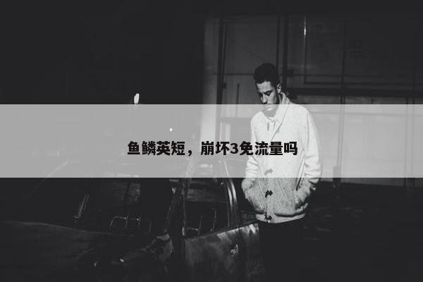鱼鳞英短，崩坏3免流量吗