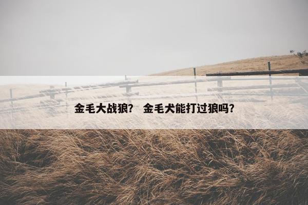 金毛大战狼？ 金毛犬能打过狼吗？