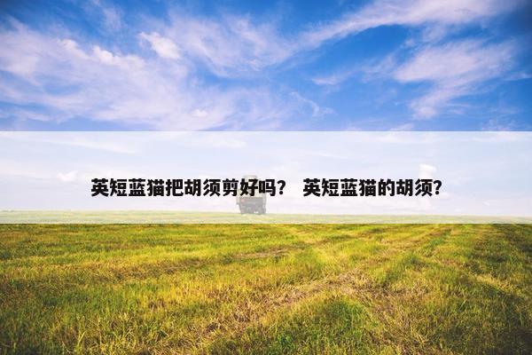 英短蓝猫把胡须剪好吗？ 英短蓝猫的胡须？