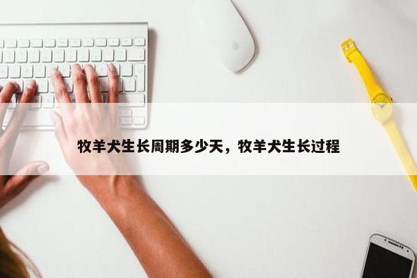 牧羊犬生长周期多少天，牧羊犬生长过程