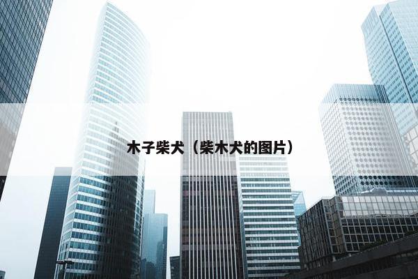 木子柴犬（柴木犬的图片）