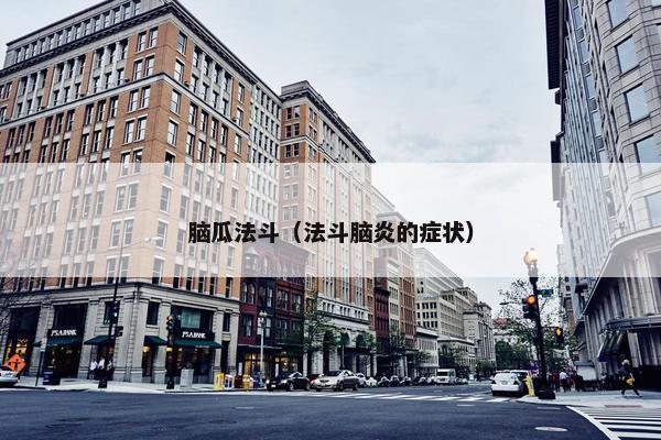 脑瓜法斗（法斗脑炎的症状）