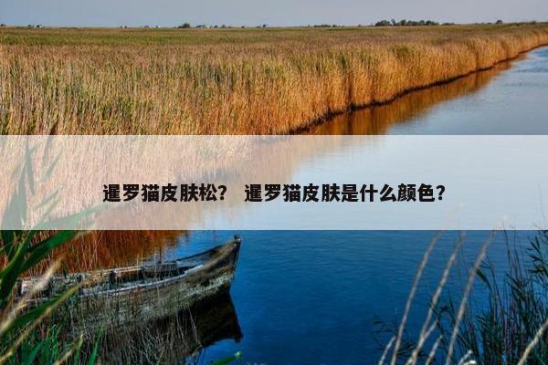 暹罗猫皮肤松？ 暹罗猫皮肤是什么颜色？