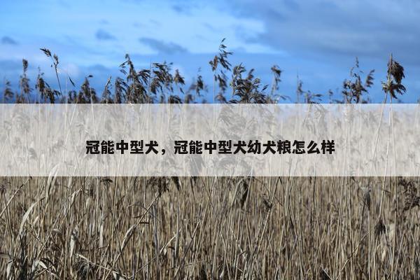 冠能中型犬，冠能中型犬幼犬粮怎么样