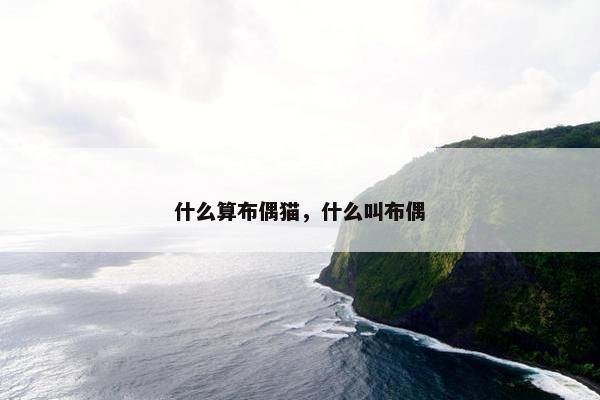 什么算布偶猫，什么叫布偶