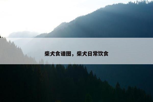 柴犬食谱图，柴犬日常饮食