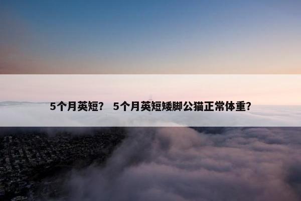 5个月英短？ 5个月英短矮脚公猫正常体重？