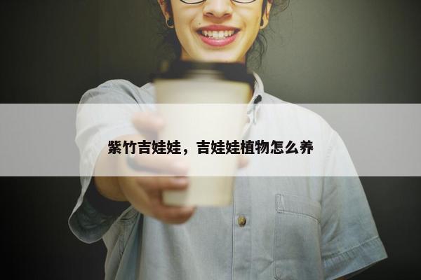 紫竹吉娃娃，吉娃娃植物怎么养