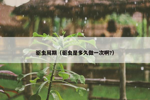 驱虫周期（驱虫是多久做一次啊?）