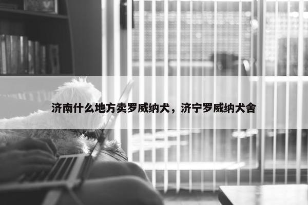 济南什么地方卖罗威纳犬，济宁罗威纳犬舍