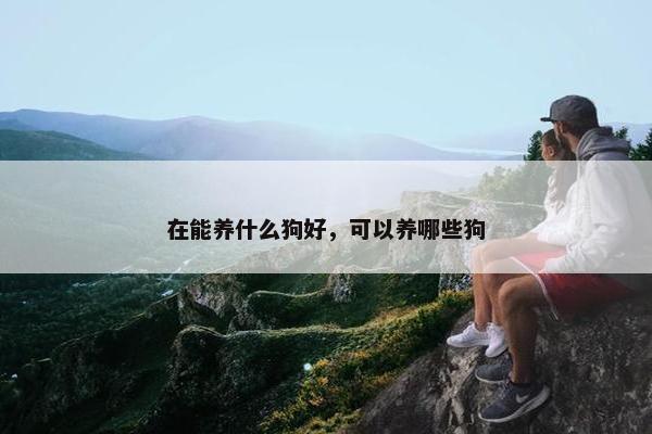 在能养什么狗好，可以养哪些狗