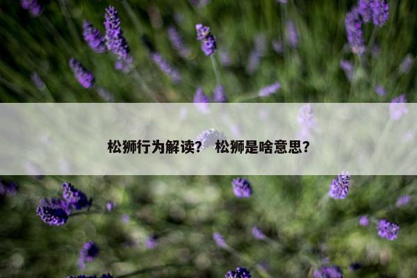 松狮行为解读？ 松狮是啥意思？