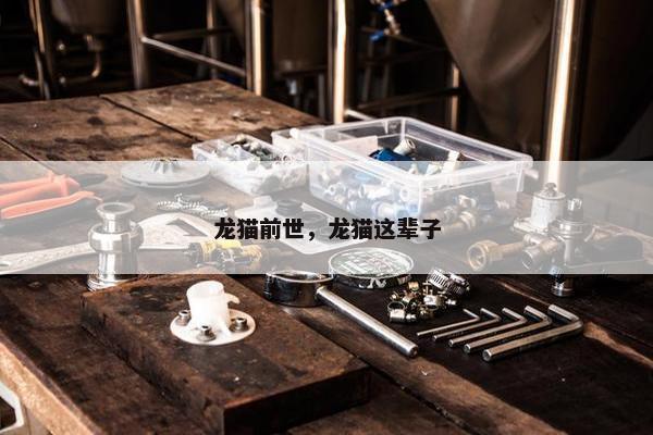 龙猫前世，龙猫这辈子