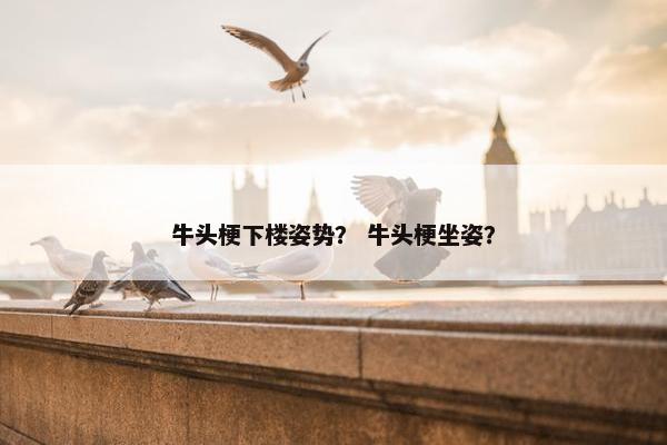 牛头梗下楼姿势？ 牛头梗坐姿？