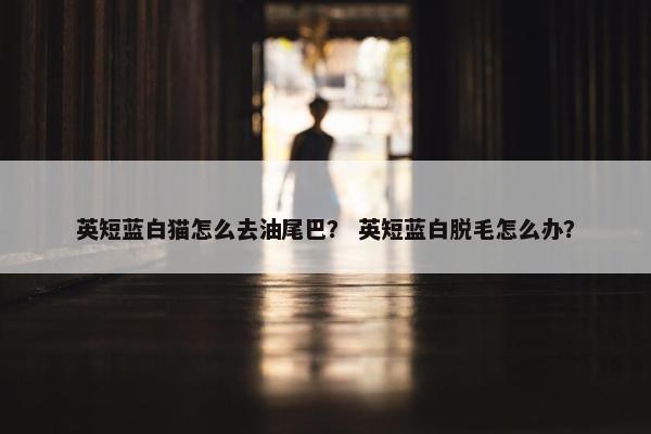 英短蓝白猫怎么去油尾巴？ 英短蓝白脱毛怎么办？