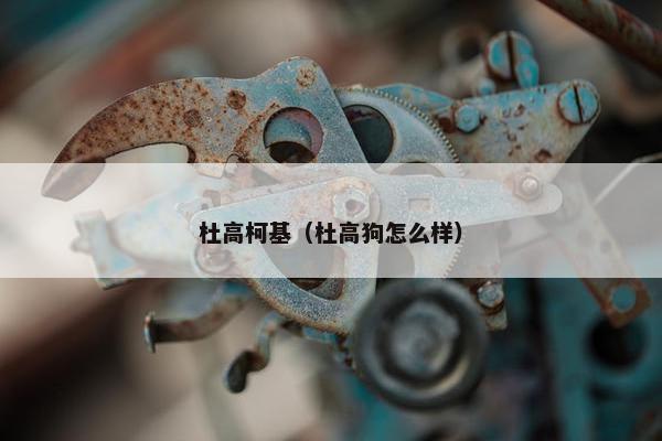 杜高柯基（杜高狗怎么样）