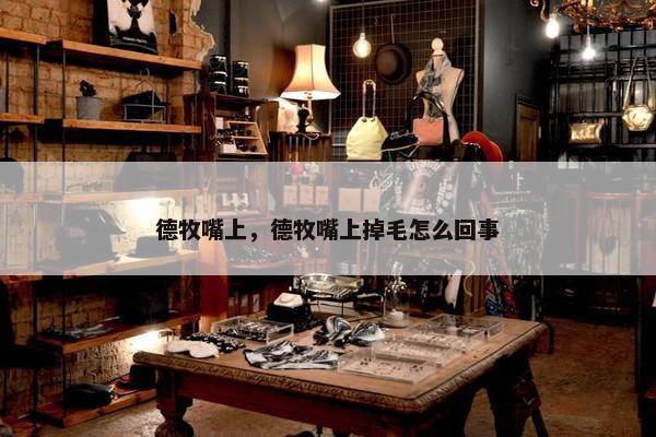 德牧嘴上，德牧嘴上掉毛怎么回事