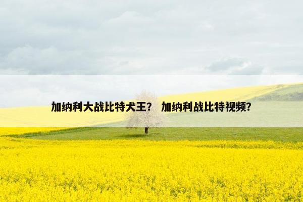 加纳利大战比特犬王？ 加纳利战比特视频？