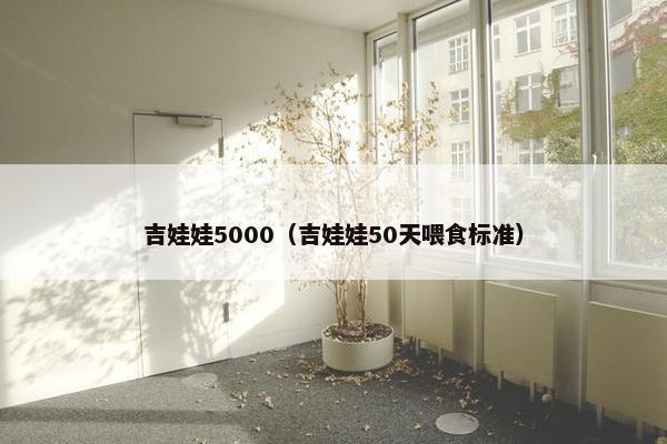 吉娃娃5000（吉娃娃50天喂食标准）