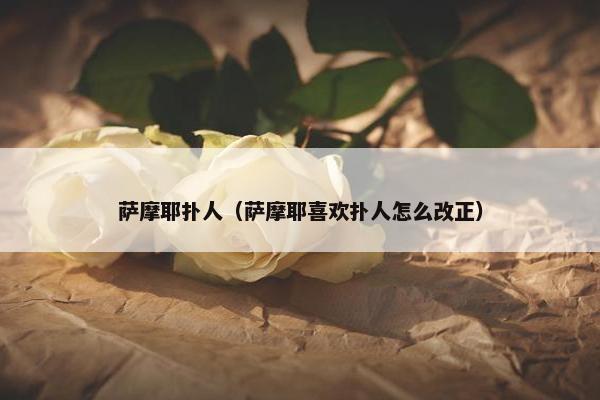 萨摩耶扑人（萨摩耶喜欢扑人怎么改正）