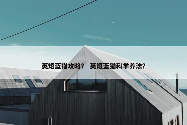 英短蓝猫攻略？ 英短蓝猫科学养法？