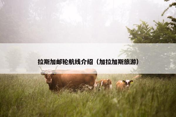 拉斯加邮轮航线介绍（加拉加斯旅游）