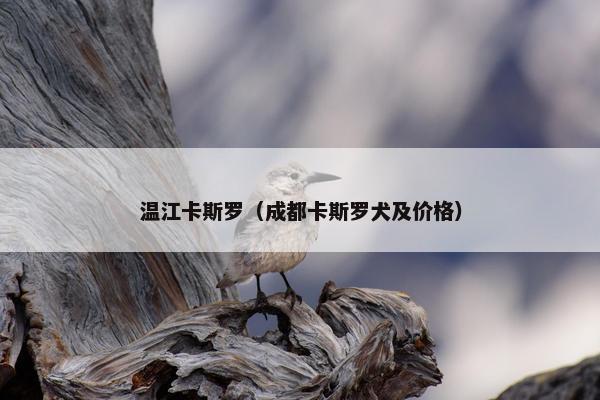 温江卡斯罗（成都卡斯罗犬及价格）