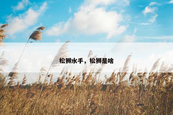 松狮水手，松狮是啥
