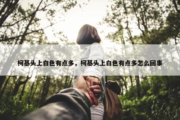 柯基头上白色有点多，柯基头上白色有点多怎么回事